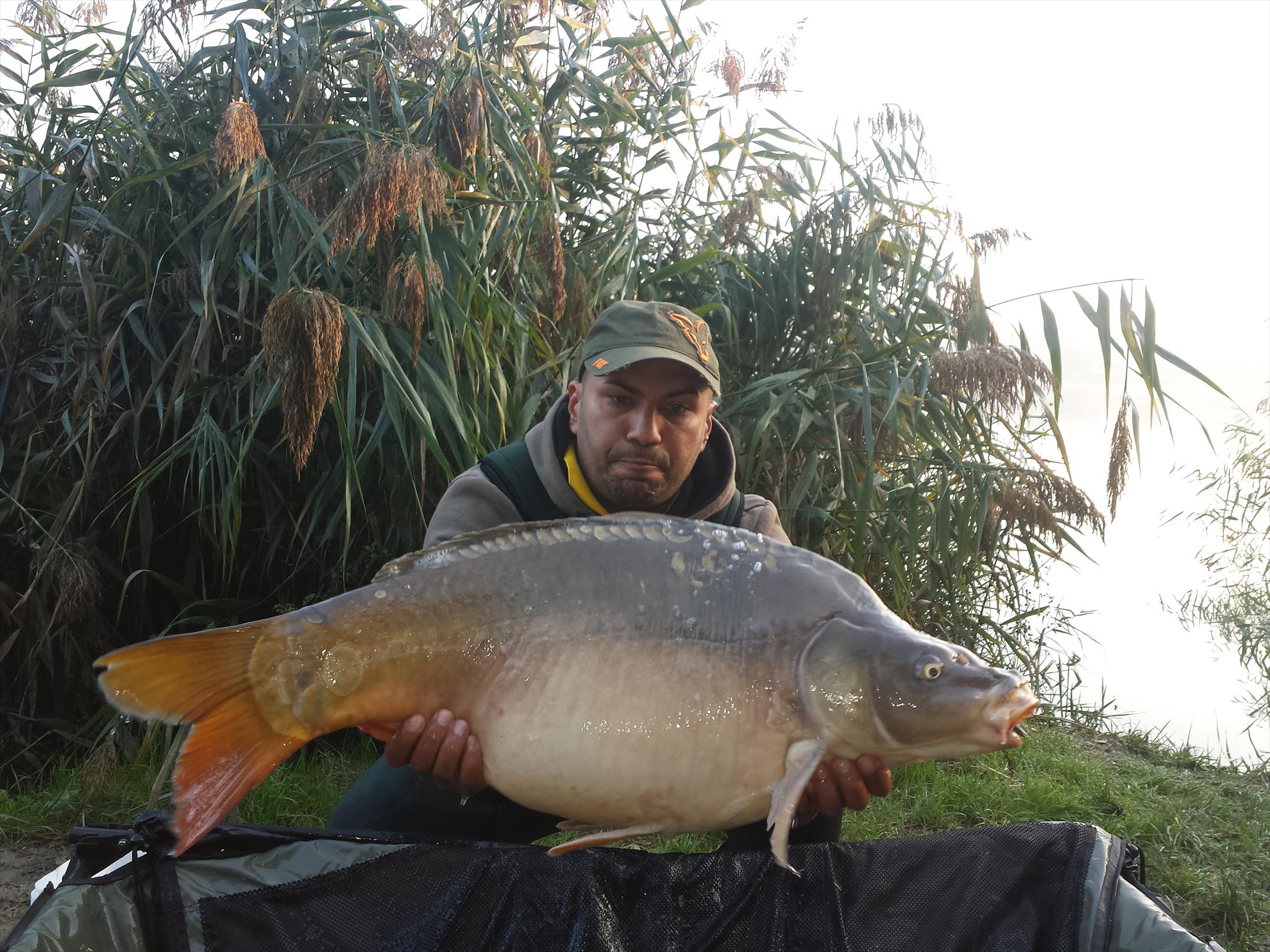 Harsany 2014 - 20141014074003.jpg